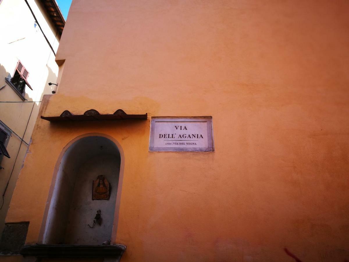 La Casina Dell'Agania Apartment Арецо Екстериор снимка